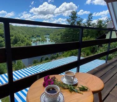 Generalski Stol Apartment | Mrežnica - Zelena oaza II