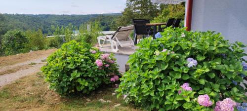 Generalski Stol Apartment | Mrežnica - Zelena oaza II