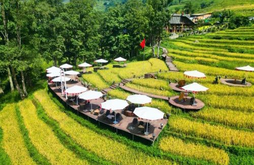 Hau Thao House | MT House Sa Pa - Mountain & Terraced fields View And Trekking Tour