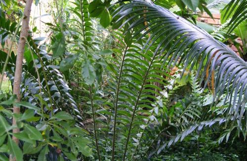 Polokwane Cabin | Mukurumanzi Lodge