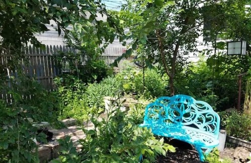Berwyn Apartment | Music Hot Spot Berwyn/Oak Park