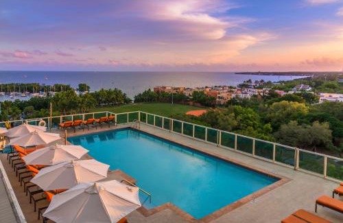 Coconut Grove Apartment | MVR - Miami-s Most Exclusive Stay-Revealed