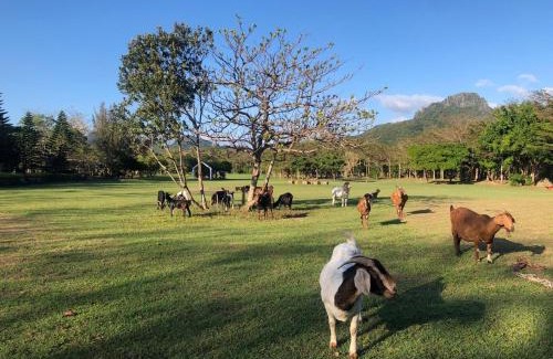 Hengchun House | My Chateau Resort