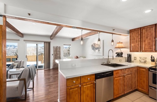 Snowmass Village Apartment | MY MOUNTAIN SHACK-Upscale Condo- Walk to Lifts-Mountain VIEW