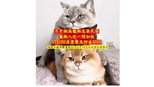 Ruifang House | My Ocean Villa 月牙桐海景民宿