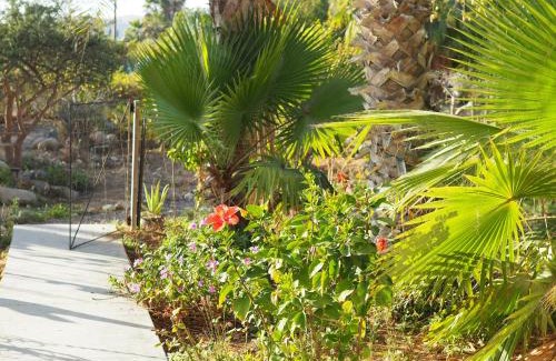 El Pescadero Apartment | Mystic Breeze