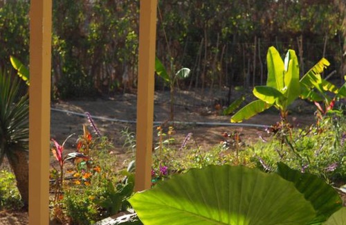 El Pescadero Apartment | Mystic Breeze