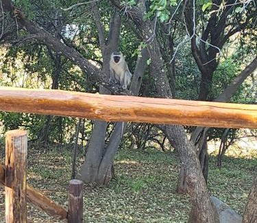 Maanhaarand House | Mzila Forest Creek