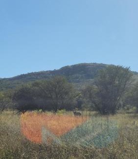 Maanhaarand House | Mzila Forest Creek