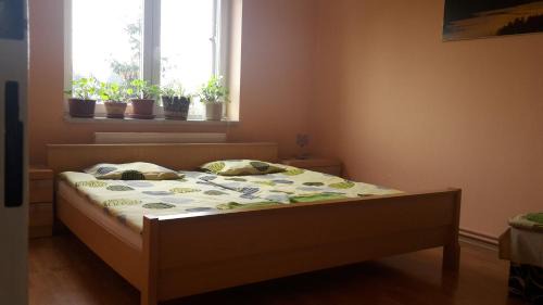 Kolin 2 House | Na 15 Kopách