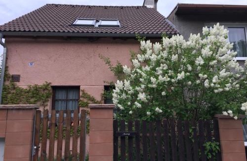Hrob House | Na Husovce