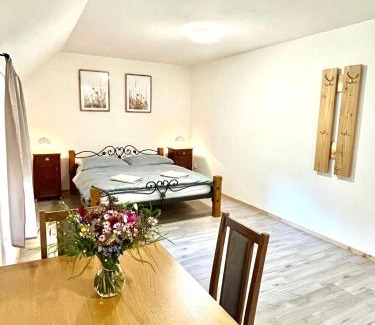 Krahulci House | Na Mlejně