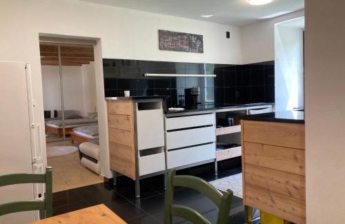 Krahulci Apartment | Na Mlejně