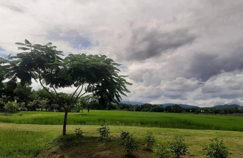 San Pa Thong House | Naam and Nork Vegetarian Farmstay