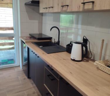Czarna Cabin | Nad Czarnym Potokiem II