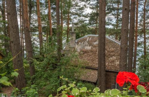 Giby House | Nad Jeziorem Zelwa - Puszcza Augustowska