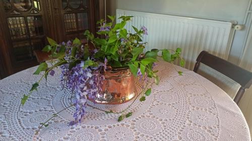 Gefira Mpania Villa | Nafpaktos cottage by the sea for travelers and dreamers!