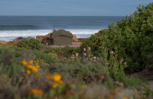 Kamiesberg Other | Namaqua Flowers Beach Camp