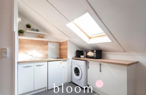 Poincare - Foch - Anatole France - Croix de Bourgogne Apartment | Nancy face à la gare très bel appartement