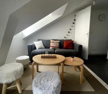 Nantes Centre Apartment | Nantes : T1 bis hyper centre (commerce) très calme