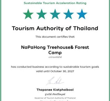 Phrao Other | Napahong Treehouse forest camp