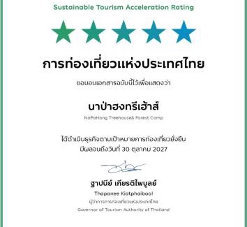 Phrao Other | Napahong Treehouse forest camp