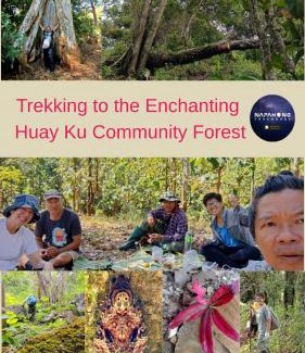 Phrao Other | Napahong Treehouse forest camp