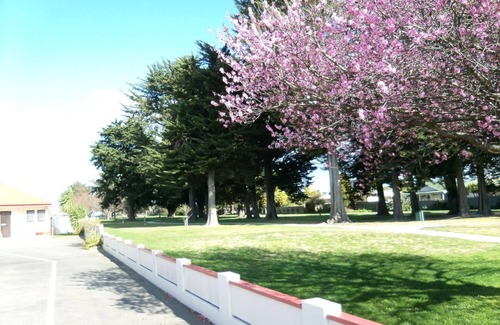 Napier Hotel | Napier Nest Motel - The Urban Escape