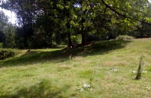 Saint-Cyr-des-Gats Cabin | Nature and tranquility pods.