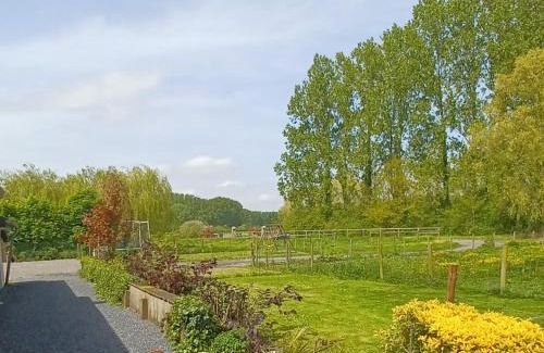 Wittes House | Nature et Moi