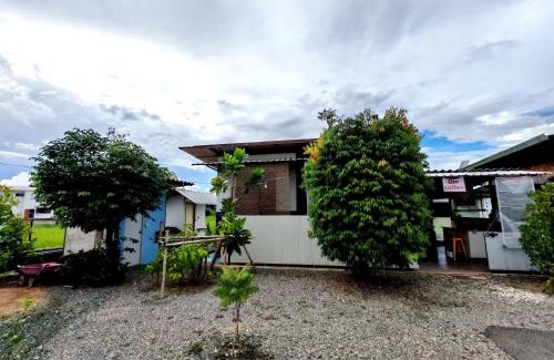 San Sai House | nature