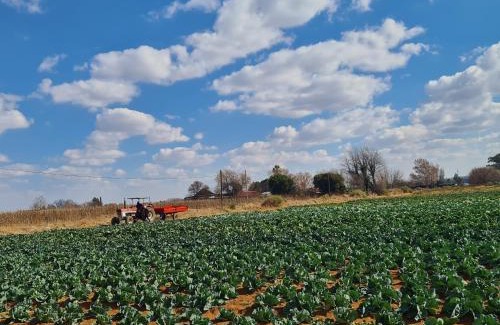 Potchefstroom Apartment | Nawi Accommodation