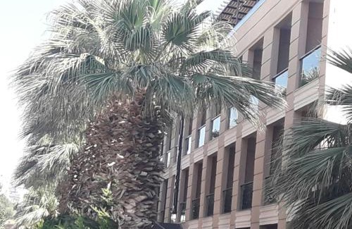 Altinkum Hotel | Nazar Hotel