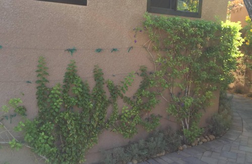 Palm Desert Apartment | Near El Paseo Contemporary Casita