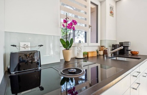 Brugg Apartment | near old town I terrace lounge and car park