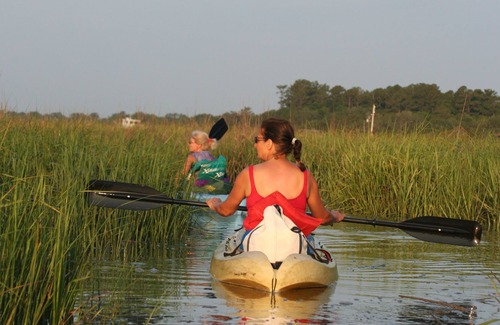 Townsend House | Near Shellman Bluff and Harrisneck Wildlife preserve. Fishing, Kayaking, Birding