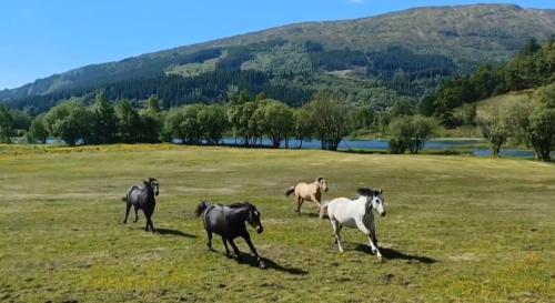 Arna House | Nesvika 5 bedroom holiday home, only 25 min from Bergen