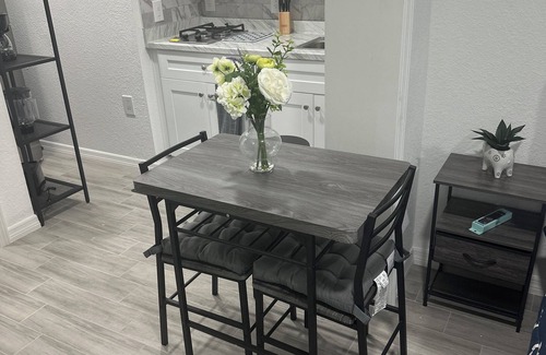 Doctor Phillips Apartment | New 1 Bedroom suite with full kitchen, living room and bathroom