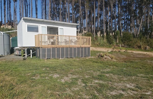 Coopers Beach Cabin | New, contemporary cabin with wide views