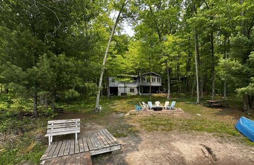Birchwood Cabin | New! Douglas Lakeside Retreat- Paddleboards, kayaks & canoe! Pet Friendly!