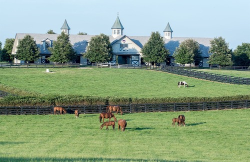 Versailles House | NEW Garden, Modern, Horse Farms, Bourbon, Downtown LUX, Fully Loaded