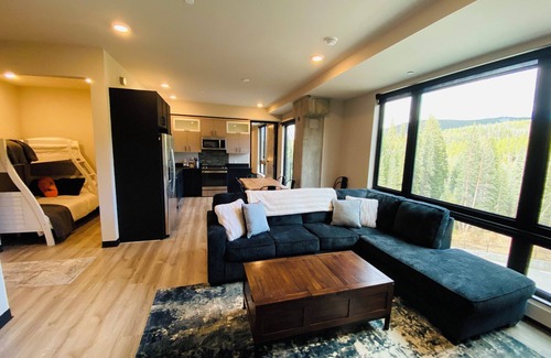 Winter Park Condo | New Hike/Ski in/out Modern Condo-Mountain Views
