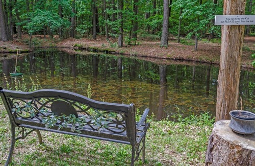 Tyler Cabin | NEW LISTING! The Tree House (1-Bedroom Cabin) by RedAwning