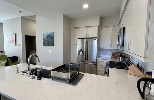 Carbondale House | New Luxury 3BR Townhome -Mt. Sopris View & Hot Tub