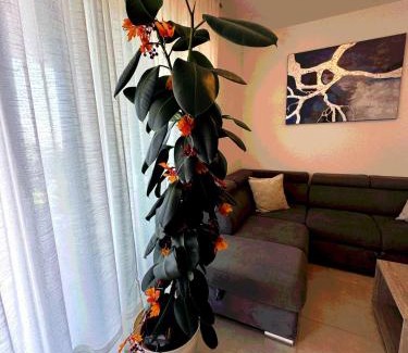 Vintijan Apartment | New luxury air-conditioned apartment, with jacuzzi, free parking and gardens