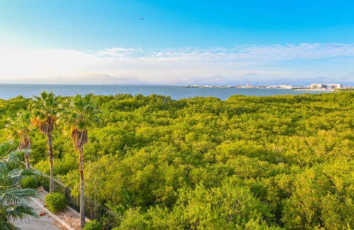 Port Tampa City Apartment | *NEW* The Getaway- Dual suites, pool- South Tampa