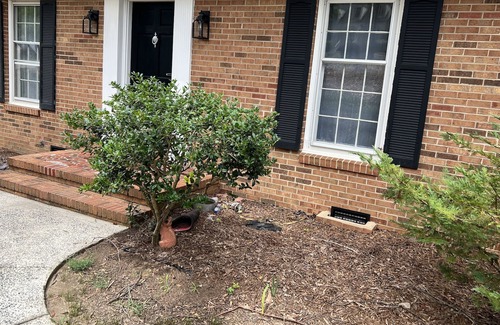 Sharon Woods House | Newly remodeled house. 3 minutes to shopping center. Pets friendly.