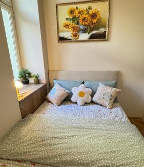 Nove Mesto Apartment | Newly renovated apartment in Wenceslas square