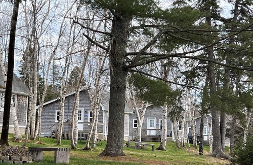 Harrington Cabin | Newly renovated Chickadee cabin on Harrington River, sleeps 4.nPet friendly
