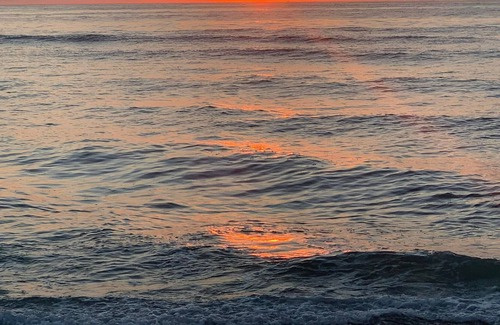 Highlands Condo | Newly Renovated Large one bedroom with Ocean Views